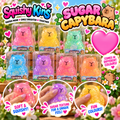 Sugar Capybara Squishy — no printed price